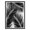 Art-Poster 50 x 70 cm - Palm Leaf Part 2 Black and White - Orara Studio