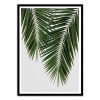 Art-Poster 50 x 70 cm - Palm Leaf Part 3 - Orara Studio