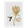 Art-Poster 50 x 70 cm - Hummingbird and flower part 2 - Orara Studio