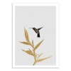 Art-Poster 50 x 70 cm - Hummingbird and flower - Orara Studio
