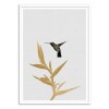 Art-Poster 50 x 70 cm - Hummingbird and flower - Orara Studio