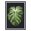Art-Poster 50 x 70 cm - One leaf - Cascadia