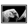 Art-Poster - Elephant Black and White - Julia Bénard