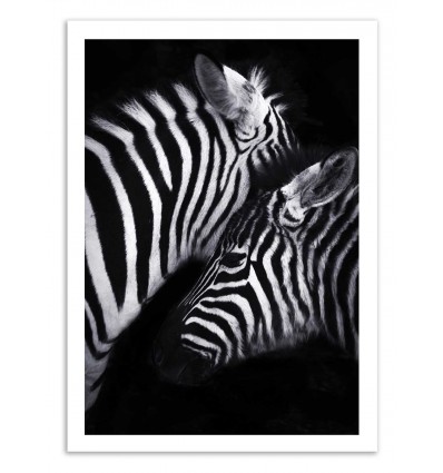 Art-Poster - Zebra - Julia Bénard