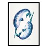 Art-Poster - Blue Narwhals - Cat Coquillette
