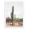 Art-Poster - Desert cactus - Sisi and Seb