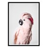 Art-Poster - Pink cockatoo - Sisi and Seb