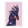 Art-Poster - Galaxy bird - Jonas Loose