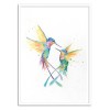 Art-Poster - Happy Humminbirds - Marc Allante